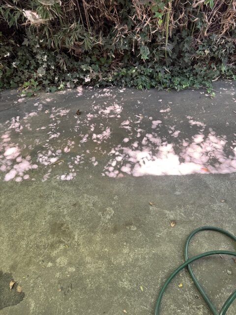 image6