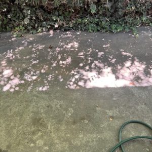 image6