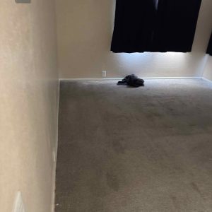 unnamed (17)